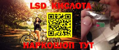 стаф Донецк