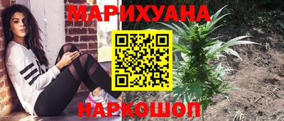 стаф Донецк