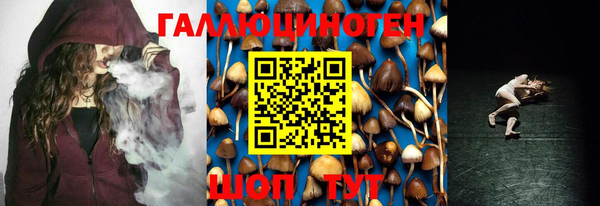 Псилоцибиновые грибы Psilocybine cubensis Заинск