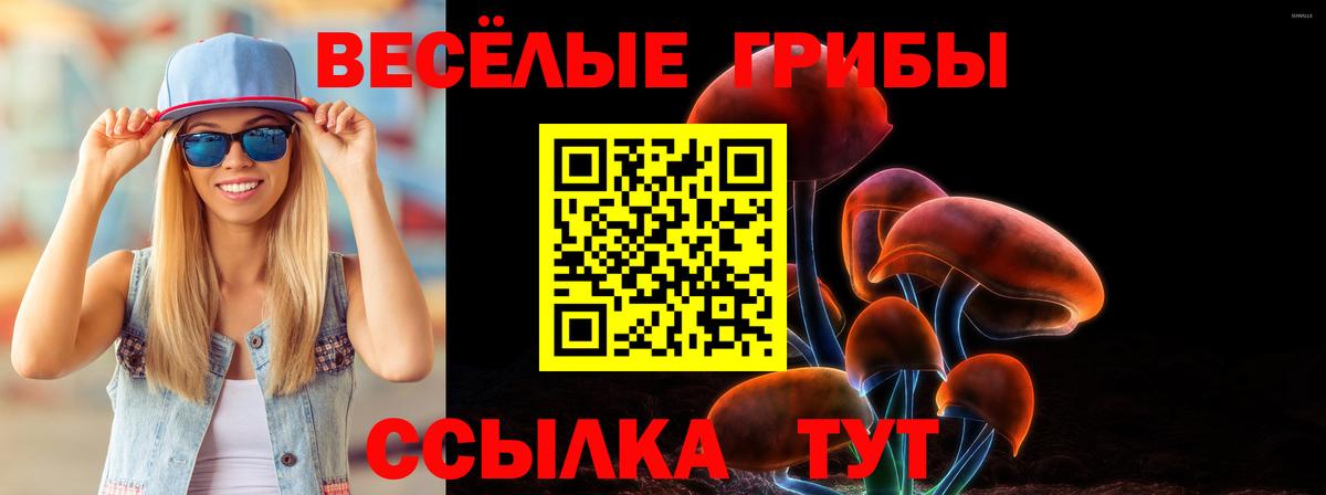 Галлюциногенные грибы прущие грибы  Вход с VPN  Заинск 
